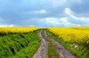 ngsverfahren des  Landesentwicklungsplanes 